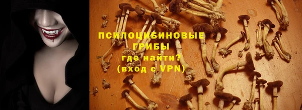 кокаин колумбия Дмитриев