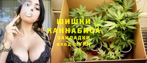 стаф Волосово