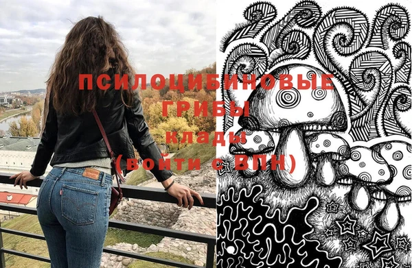 ешки Волоколамск