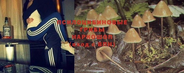 стаф Волосово